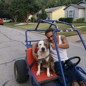 Meet your Posher, Michael